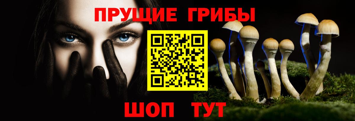 Гурьевск  Галлюциногенные грибы Psilocybine cubensis  купить закладку  Вход с VPN 